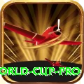 2019 world cup Master PK v5.6.8
