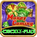 all cricket - Slots Deluxe
