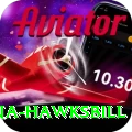 antigua hawksbill Elite Pro v3.1.6