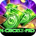 australian cricket Master - Win Real PKR