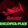 bingopkr Premium Edition v2.9.0