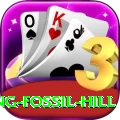 chhusang fossil hill Turbo Pro v5.5.0