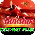 cricket bat APK Royal v3.2.3