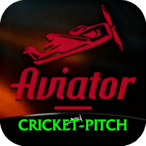 cricket pitch Pro Max v5.4.5 - 2