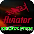 cricket pitch Pro Max v5.4.5