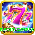 david gower Premium v4.6.0