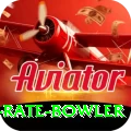 economy rate bowler Pro1 v5.0.4