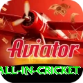 fastest ball in cricket Premium v5.5.4