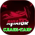 grass carp Gold Pro v5.3.7