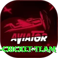 hong kong cricket team Plus v2.3.8