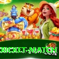 india cricket match Apps (Tools & Injectors) Ultimate v4.4.7