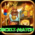 india pakistan cricket match Elite Pro v3.2.2