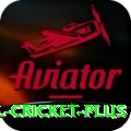 international cricket Game Pro v4.5.8