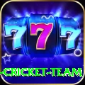 ireland cricket team Master v3.8.0