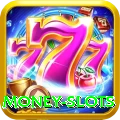 money slots Pro Edition v5.0.3