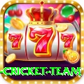 netherlands cricket team Elite v4.0.5