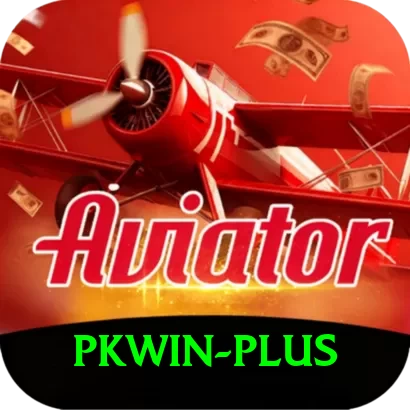 pkwin VIP Edition v2.0.5 - 2