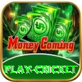 play cricket Apps (Tools & Injectors) Plus v1.4.2