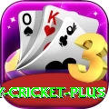 play cricket APK Super v2.1.5