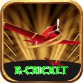 r cricket Ultimate v1.9.0