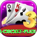 r cricket APK King v4.8.2