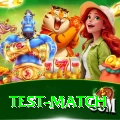 test match Pro1 v4.5.2