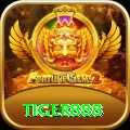 tiger888 Max Pro vv2.3.5