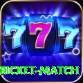 to day cricket match Pro v2.8.5