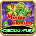 v cricket - Gaming Ultimate