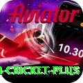 virat kohli cricket APK Champion v5.6.4
