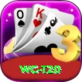 wc t20 VIP v1.0.8