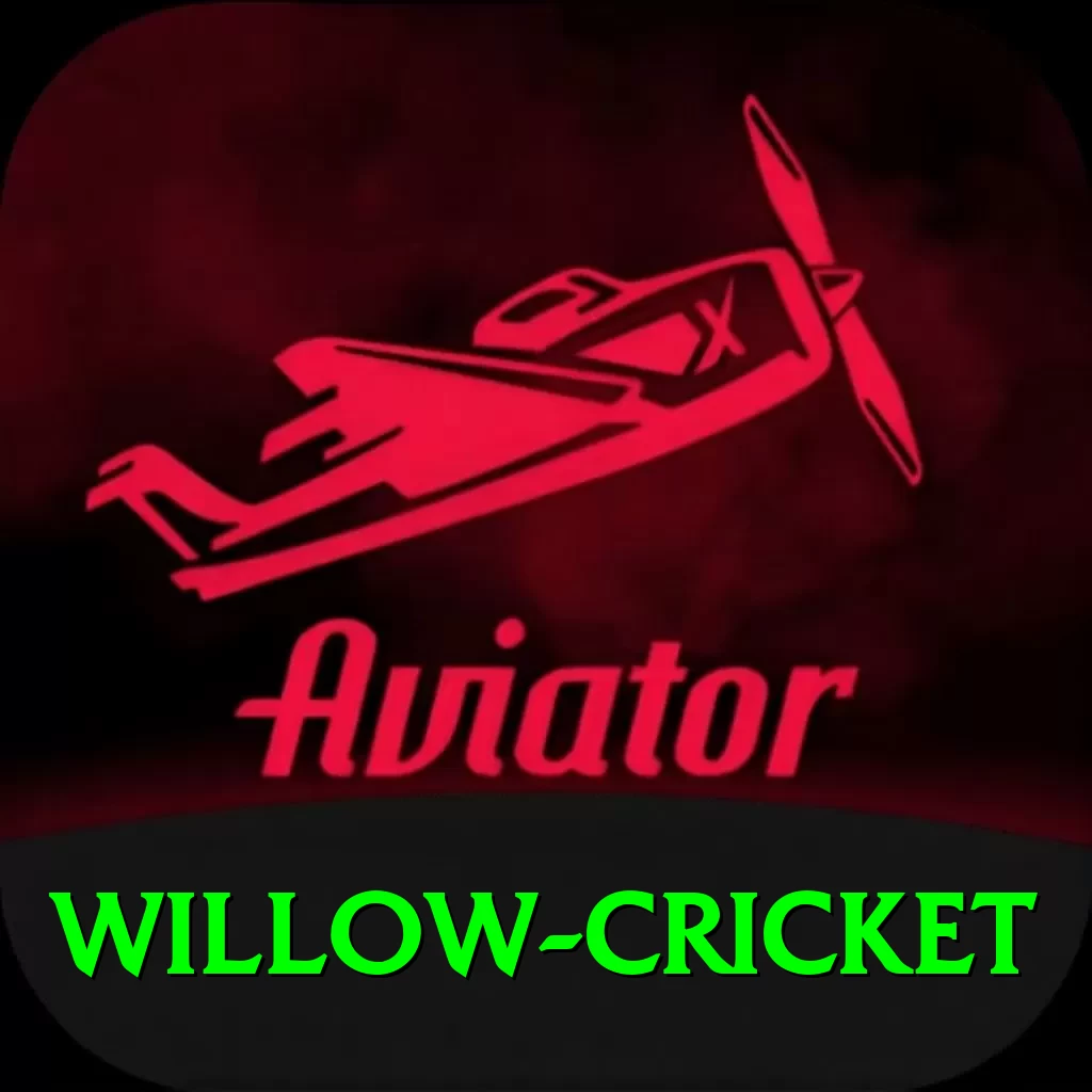 willow cricket Pro1 v3.3.8 - 2