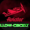 willow cricket Pro1 v3.3.8