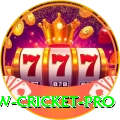 willow cricket - Pro Earning App