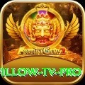willow tv Deluxe - Win Real PKR