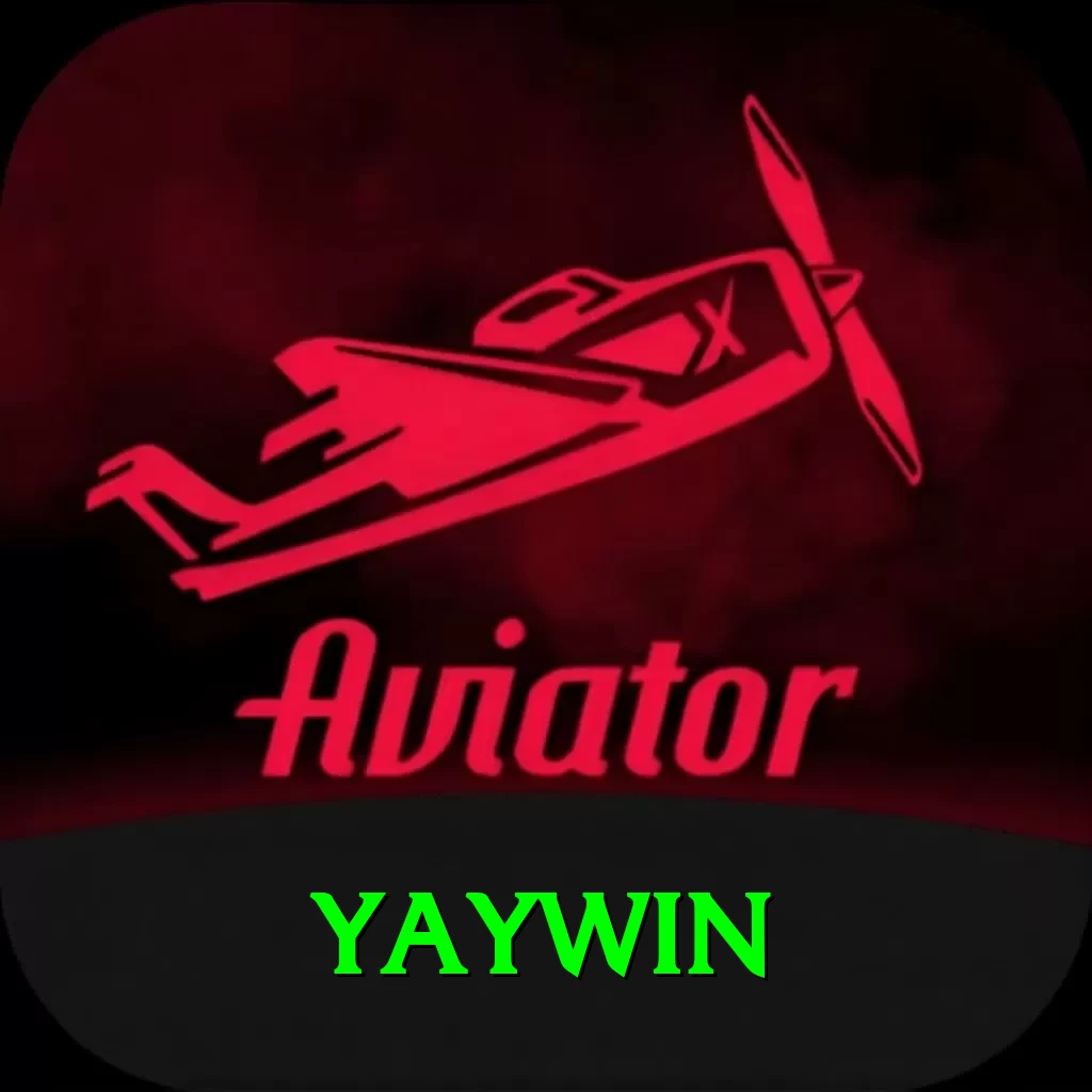 yaywin Pro Edition v2.4.8 - 2